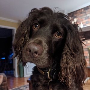 Meet your Posher, Jack